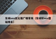 東城seo優(yōu)化推廣哪家有（東城區(qū)seo整站排名）
