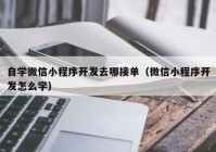 自學(xué)微信小程序開(kāi)發(fā)去哪接單（微信小程序開(kāi)發(fā)怎么學(xué)）