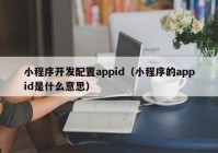 小程序開發(fā)配置appid（小程序的appid是什么意思）