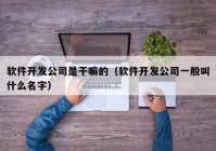 軟件開(kāi)發(fā)公司是干嘛的（軟件開(kāi)發(fā)公司一般叫什么名字）