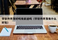 學(xué)軟件開(kāi)發(fā)好嗎有前途嗎（學(xué)軟件開(kāi)發(fā)有什么好處）