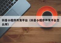 抖音小程序開發(fā)平臺（抖音小程序開發(fā)平臺怎么樣）