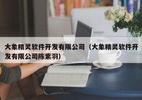 大象精靈軟件開發(fā)有限公司（大象精靈軟件開發(fā)有限公司陳紫羽）