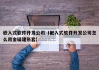 嵌入式軟件開發(fā)公司（嵌入式軟件開發(fā)公司怎么用金碟建賬套）