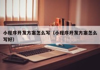 小程序開發(fā)方案怎么寫（小程序開發(fā)方案怎么寫好）