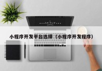 小程序開(kāi)發(fā)平臺(tái)選擇（小程序開(kāi)發(fā)程序）