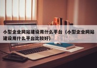 小型企業(yè)網(wǎng)站建設(shè)用什么平臺(tái)（小型企業(yè)網(wǎng)站建設(shè)用什么平臺(tái)比較好）