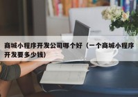 商城小程序開發(fā)公司哪個好（一個商城小程序開發(fā)要多少錢）