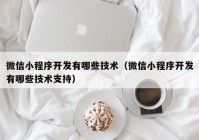 微信小程序開(kāi)發(fā)有哪些技術(shù)（微信小程序開(kāi)發(fā)有哪些技術(shù)支持）