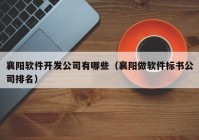 襄陽軟件開發(fā)公司有哪些（襄陽做軟件標書公司排名）