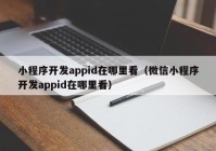 小程序開(kāi)發(fā)appid在哪里看（微信小程序開(kāi)發(fā)appid在哪里看）