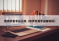 軟件開發(fā)平臺公司（軟件開發(fā)平臺哪家好）