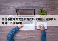 微信小程序開(kāi)發(fā)怎么寫(xiě)代碼（微信小程序代碼是用什么編寫(xiě)的）