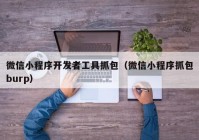 微信小程序開發(fā)者工具抓包（微信小程序抓包burp）
