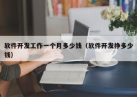 軟件開發(fā)工作一個(gè)月多少錢（軟件開發(fā)掙多少錢）
