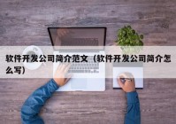 軟件開發(fā)公司簡介范文（軟件開發(fā)公司簡介怎么寫）