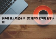 軟件開發(fā)公司起名字（軟件開發(fā)公司起名字大全）