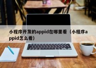 小程序開發(fā)的appid在哪里看（小程序appid怎么看）
