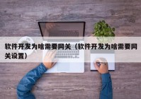 軟件開發(fā)為啥需要網(wǎng)關（軟件開發(fā)為啥需要網(wǎng)關設置）