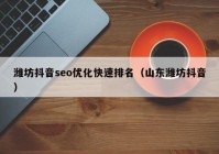 濰坊抖音seo優(yōu)化快速排名（山東濰坊抖音）