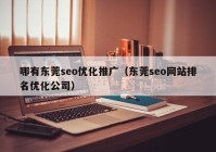 哪有東莞seo優(yōu)化推廣（東莞seo網(wǎng)站排名優(yōu)化公司）