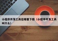 小程序開發(fā)工具在哪里下載（小程序開發(fā)工具叫什么）