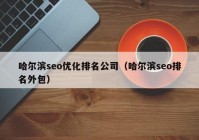 哈爾濱seo優(yōu)化排名公司（哈爾濱seo排名外包）