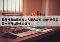 軟件開發(fā)公司有多少人是大公司（軟件開發(fā)公司一年可以掙多少錢?）
