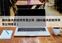 國(guó)內(nèi)最大的軟件開(kāi)發(fā)公司（國(guó)內(nèi)最大的軟件開(kāi)發(fā)公司排名）