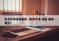 軟件開發(fā)項(xiàng)目案例（軟件開發(fā) 項(xiàng)目 案例 簡介）