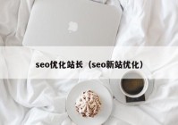 seo優(yōu)化站長(zhǎng)（seo新站優(yōu)化）