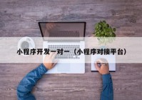 小程序開發(fā)一對一（小程序?qū)悠脚_）