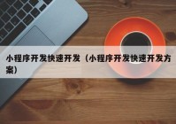 小程序開發(fā)快速開發(fā)（小程序開發(fā)快速開發(fā)方案）
