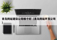 青島網(wǎng)站建設(shè)公司哪個(gè)好（青島網(wǎng)站開發(fā)公司）