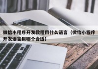 微信小程序開發(fā)教程用什么語言（微信小程序開發(fā)語言用哪個合適）