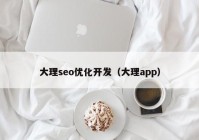 大理seo優(yōu)化開發(fā)（大理app）