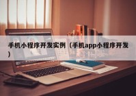 手機小程序開發(fā)實例（手機app小程序開發(fā)）