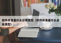 軟件開發(fā)是什么公司類型（軟件開發(fā)是什么企業(yè)類型）