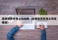 昆明軟件開發(fā)公司招聘（昆明軟件開發(fā)公司有哪些）