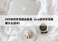 ERP軟件開發(fā)就業(yè)前景（erp軟件開發(fā)需要什么技術(shù)）