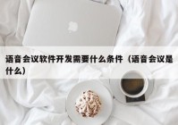 語(yǔ)音會(huì)議軟件開(kāi)發(fā)需要什么條件（語(yǔ)音會(huì)議是什么）