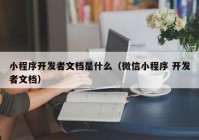 小程序開發(fā)者文檔是什么（微信小程序 開發(fā)者文檔）
