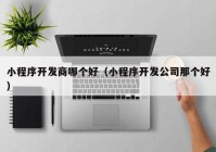 小程序開發(fā)商哪個好（小程序開發(fā)公司那個好）