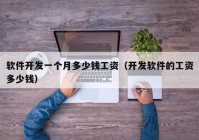 軟件開(kāi)發(fā)一個(gè)月多少錢(qián)工資（開(kāi)發(fā)軟件的工資多少錢(qián)）