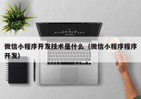微信小程序開發(fā)技術(shù)是什么（微信小程序程序開發(fā)）