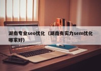 湖南專(zhuān)業(yè)seo優(yōu)化（湖南有實(shí)力sem優(yōu)化哪家好）