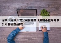 深圳小程序開發(fā)公司有哪些（深圳小程序開發(fā)公司有哪些品牌）