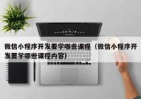 微信小程序開(kāi)發(fā)要學(xué)哪些課程（微信小程序開(kāi)發(fā)要學(xué)哪些課程內(nèi)容）