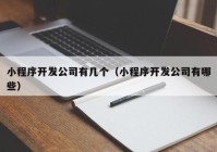 小程序開發(fā)公司有幾個（小程序開發(fā)公司有哪些）