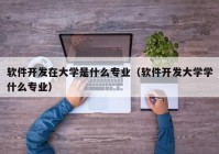 軟件開發(fā)在大學是什么專業(yè)（軟件開發(fā)大學學什么專業(yè)）